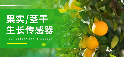 果實/莖干生長傳感器