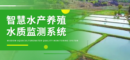 智慧水產(chǎn)養(yǎng)殖水質(zhì)監(jiān)測系統(tǒng)
