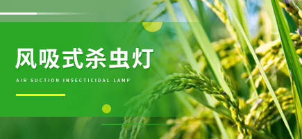 風吸式殺蟲燈