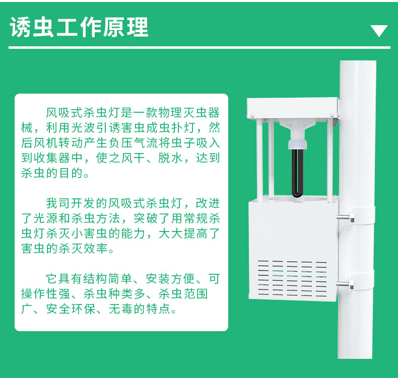 風(fēng)吸式殺蟲燈_03.jpg